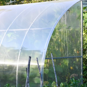 Plastico invernadero 1_Mesa de trabajo 1